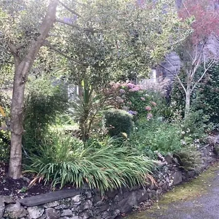 Brynffynnon Boutique Bed And Breakfast-2